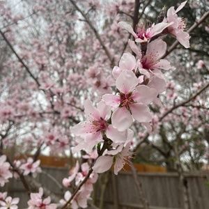 Meet your Posher, Janellen